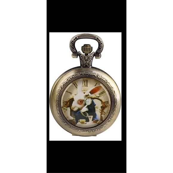 Alice in Wonderland pocket Watch Rabbit themed - Picture 5 of 9